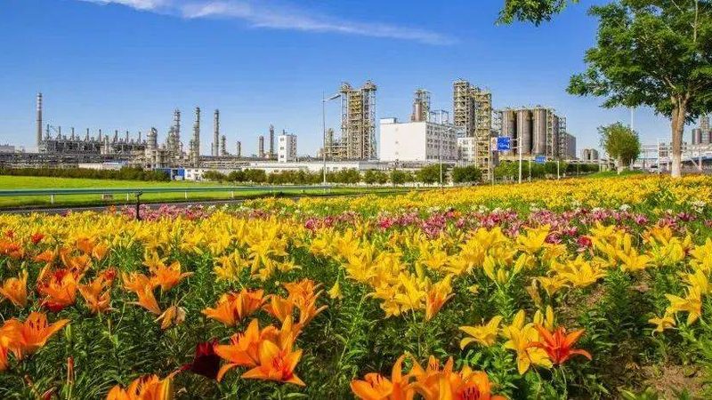 山东有机化工原料标准升级，企业如何应对新规挑战